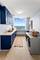 1000 N Lake Shore Unit 49A, Chicago, IL 60611