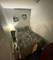 1014 W 19th Unit 1F, Chicago, IL 60608