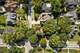 710 W Benton, Naperville, IL 60540
