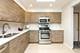 5 S Pine Unit 507B, Mount Prospect, IL 60056
