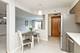 5 S Pine Unit 507B, Mount Prospect, IL 60056