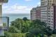 1000 N Lake Shore Unit 1105, Chicago, IL 60611
