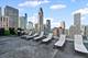 1000 N Lake Shore Unit 1105, Chicago, IL 60611