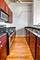 1001 W 15th Unit 342, Chicago, IL 60608