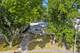 9624 W Shore, Oak Lawn, IL 60453