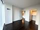 313 W Wolf Point Unit 1910, Chicago, IL 60654