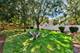 325 Green Valley, Naperville, IL 60540