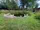 14935 W Old School, Mettawa, IL 60048
