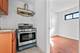 450 W 29th, Chicago, IL 60616