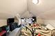 204 S 16th, Maywood, IL 60153