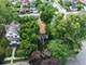 204 S 16th, Maywood, IL 60153