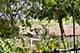 11916 Oakley, Huntley, IL 60142