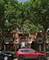 5700 S Indiana, Chicago, IL 60637