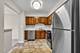 711 S River Unit 510, Des Plaines, IL 60016