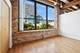 1727 S Indiana Unit 301, Chicago, IL 60616