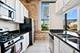 1727 S Indiana Unit 301, Chicago, IL 60616
