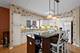 395 Graceland Unit 207, Des Plaines, IL 60016