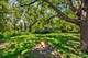 70 Ela, Inverness, IL 60067