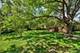 70 Ela, Inverness, IL 60067