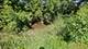 1703 Pinewood, Joliet, IL 60433