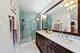 20 E Cedar Unit 2C, Chicago, IL 60611