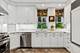 20 E Cedar Unit 2C, Chicago, IL 60611