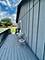 3545 N Tiffany, Morris, IL 60450