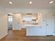 724 N Western Unit M, Park Ridge, IL 60068