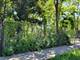 1549 S Trumbull, Chicago, IL 60623