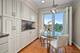 1230 N Western Unit 301, Lake Forest, IL 60045