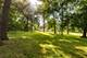 1436 Gilbert Lot 1, Downers Grove, IL 60515