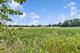 450 Majestic, Oswego, IL 60543