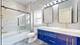 4115 N Ridgeway, Chicago, IL 60618