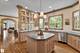 8010 Greenbriar, Burr Ridge, IL 60527