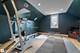 8010 Greenbriar, Burr Ridge, IL 60527