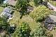 117 Beverly, Barrington, IL 60010