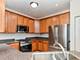 121 Springbrook, Oswego, IL 60543