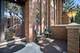 1018 Rene, Park Ridge, IL 60068