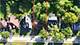 1263 Carlisle, Deerfield, IL 60015
