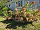 38433 N 5th, Spring Grove, IL 60081