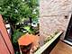 823 S Oakley, Chicago, IL 60612