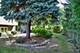 929 W Surrey, Addison, IL 60101
