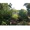 2905 Rose Marie, Wonder Lake, IL 60097