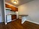 1344 W Lunt Unit 305, Chicago, IL 60626