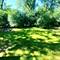 277 Minocqua, Park Forest, IL 60466