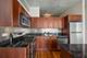 1620 S Michigan Unit 619, Chicago, IL 60616