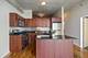 1620 S Michigan Unit 619, Chicago, IL 60616