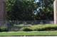 338 N Hamlin, Chicago, IL 60624