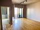 1720 S Michigan Unit 1103, Chicago, IL 60616