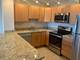 1636 N Wells Unit 2804, Chicago, IL 60614